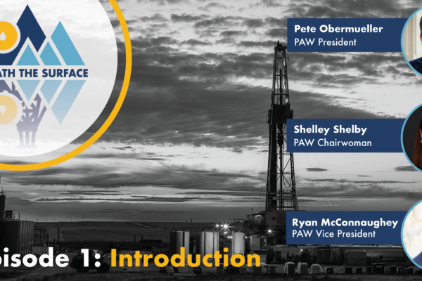Beneath the Surface Episode 1 - Introduction with Logo in the Top left corner and headshots of the three speakers down the right side: Pete Obermueller, PAW President; Shelley Shelby, PAW Chairwoman and Ryan McConnaughey, PAW Vice President