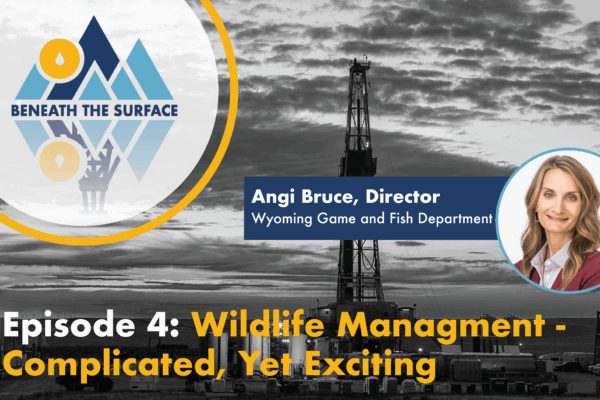 Beneath the Surface Episode 4: Wildlife Management - Complicated, Yet Exciting. Wyoming Game and Fish Director Angi Bruce