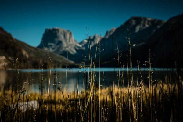 Environmental Responsibility
