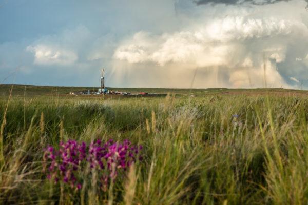 Wyoming Public Lands
